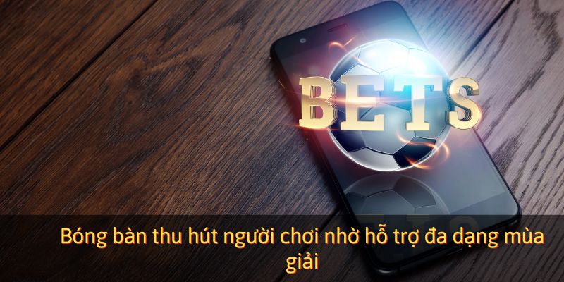 Bóng bàn thu hút người chơi nhờ hỗ trợ đa dạng mùa giải